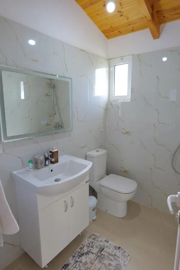 Apartment Vila Ari Borsh Albania